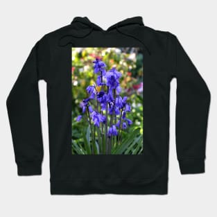 Spanish Bluebells Hoodie